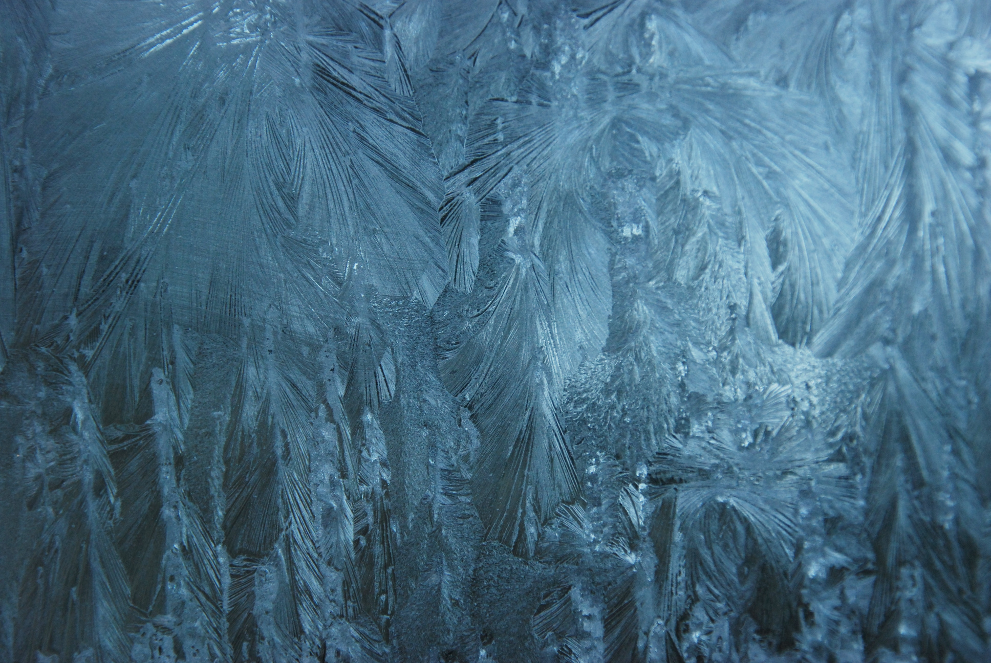 Blue Ice Texture